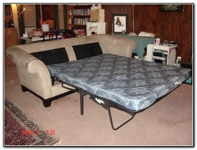 Pull Out Bed Couch Pull Out Bed Couch