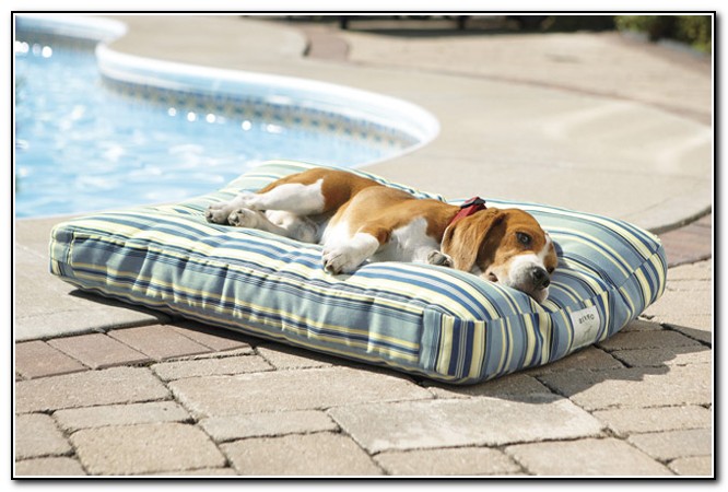 Outdoor Dog Beds Waterproof Outdoor Dog Beds Waterproof