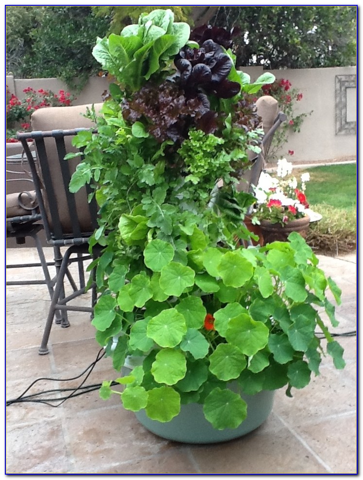 Juice Plus Tower Garden Uk / Tower Garden by Juice Plus. - Fiorita
