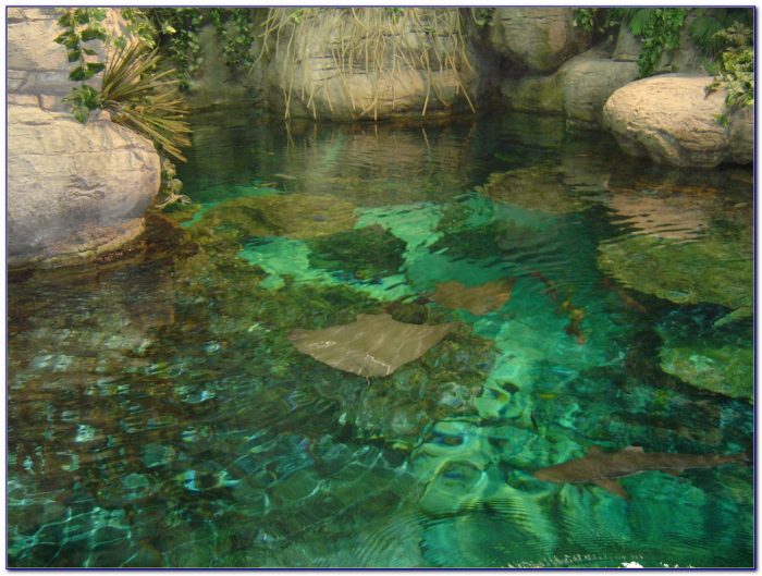 Moody gardens coupon code