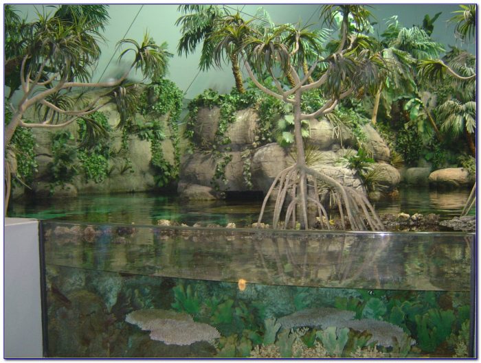Moody gardens coupon code