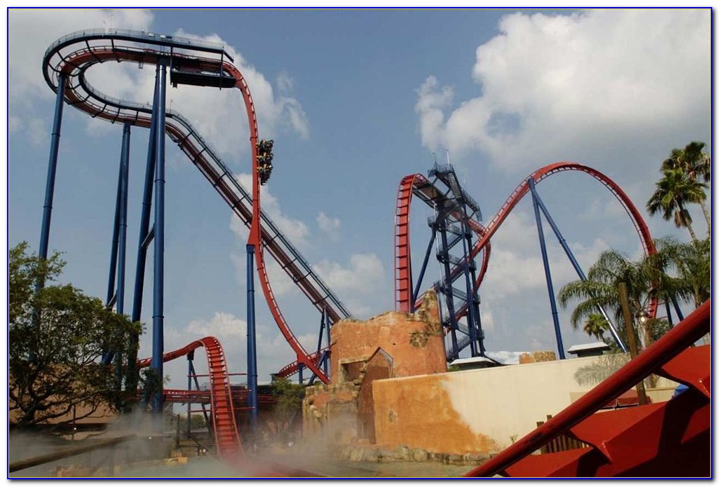 Hotels Near Busch Gardens Tampa Pet Friendly Hotels Near Busch Gardens Tampa Pet Friendly