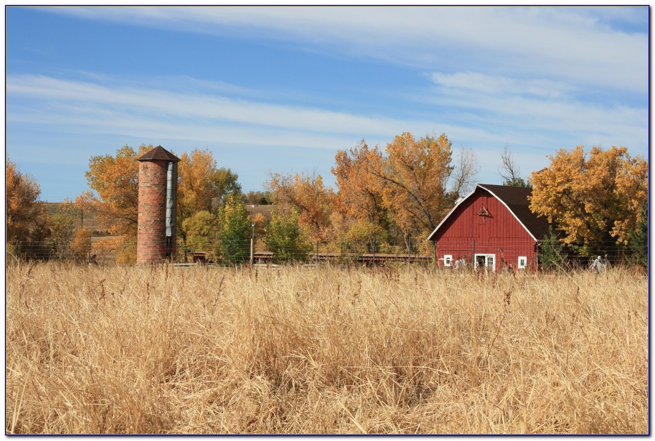 Craigslist Nashville Farm And Garden Best In The World Craigs Farm And Garden Nashville Arm Designs