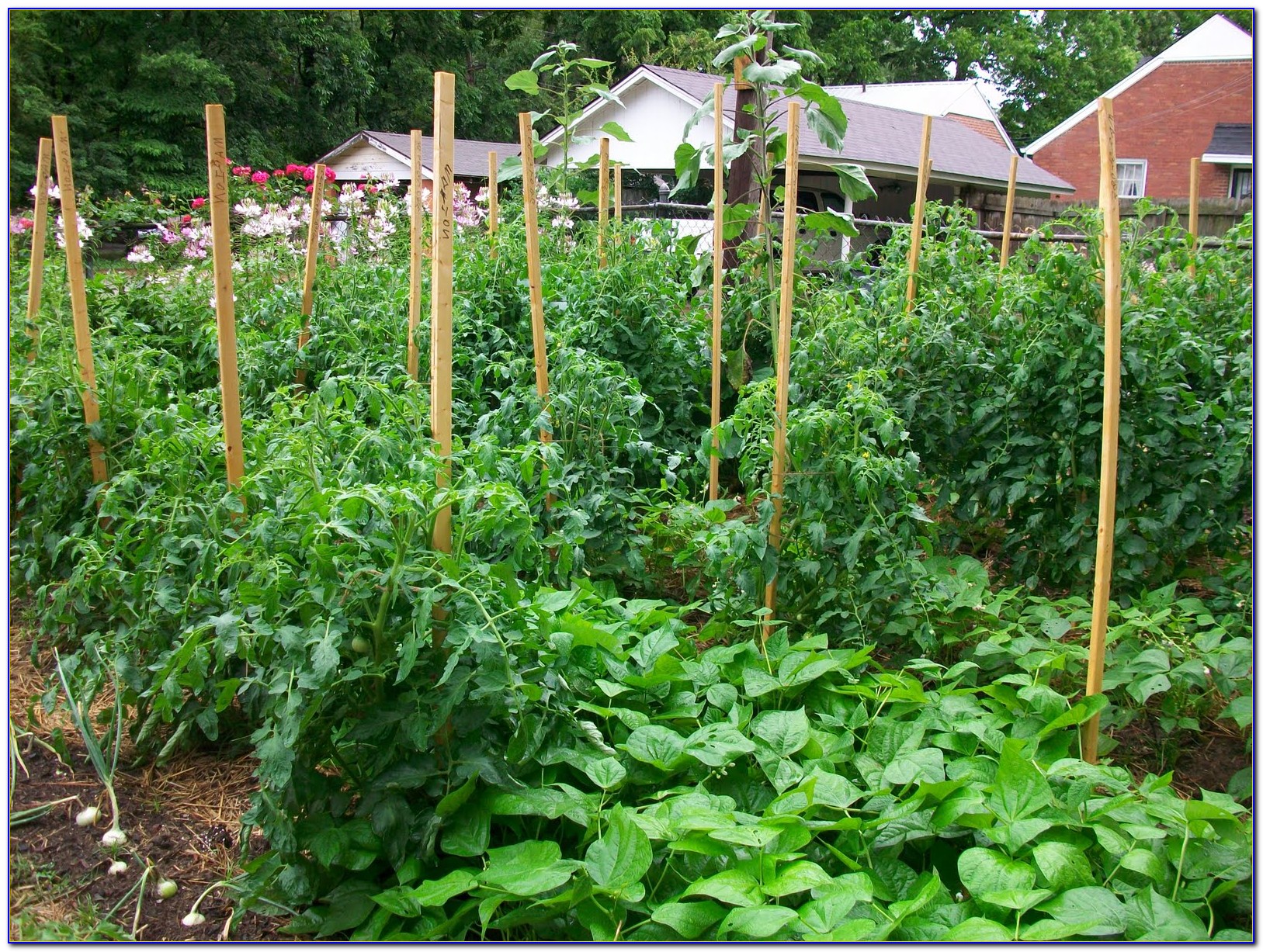 Craigslist Owensboro Ky Farm And Garden Garden Home Design Ideas