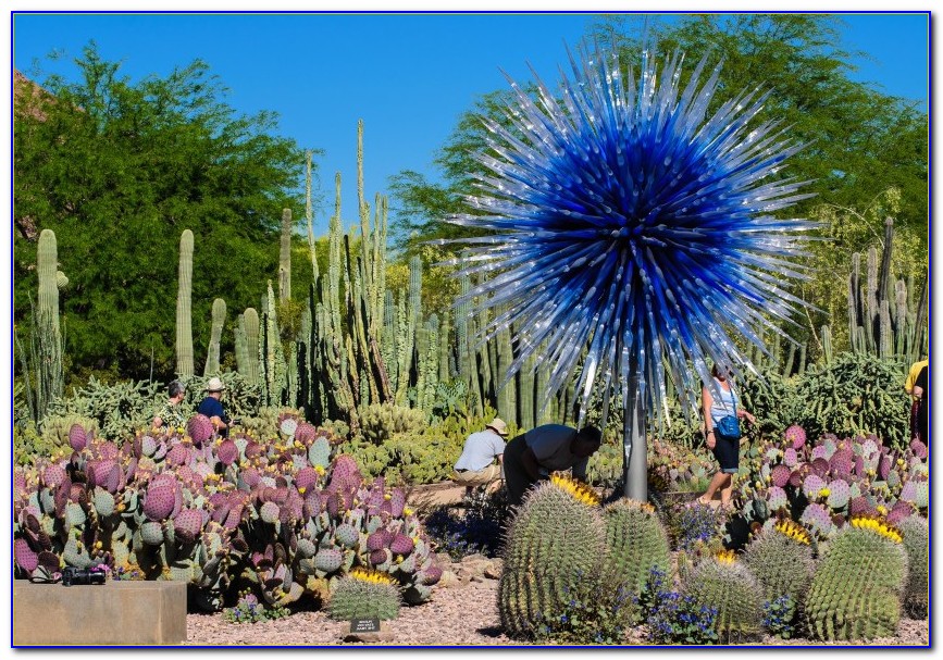 phoenix botanical garden price phoenix botanical garden price