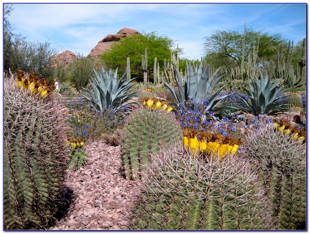 Desert Botanical Garden Phoenix Map - Garden : Home Design Ideas ...