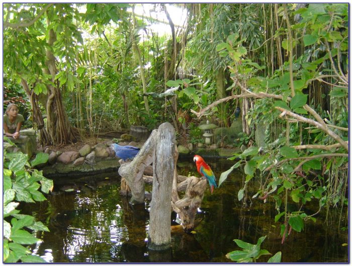 Moody gardens coupon code