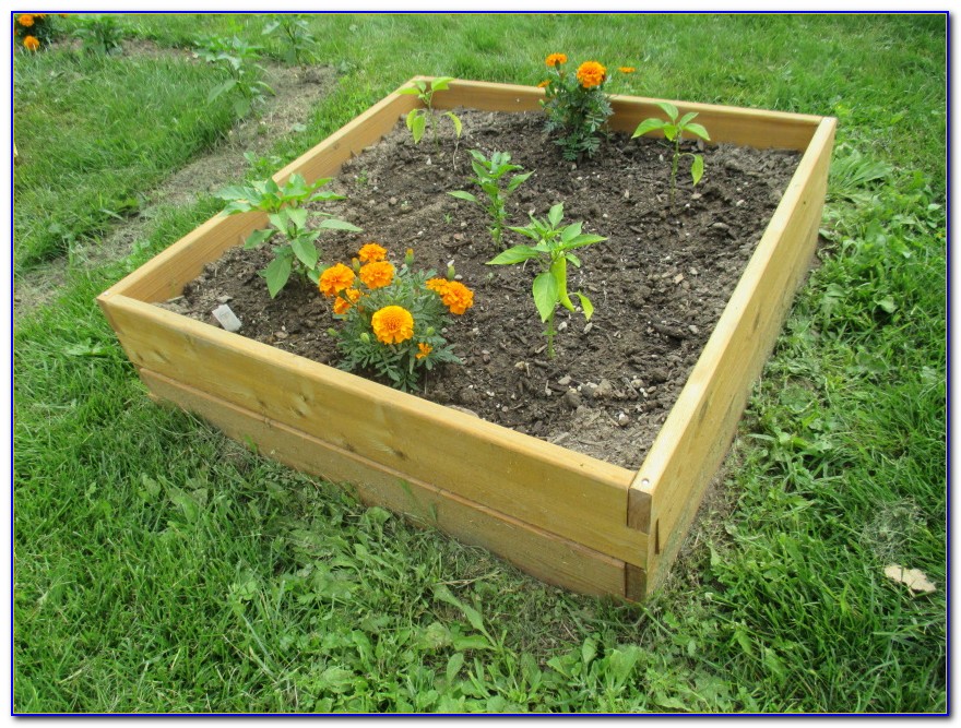 Raised Bed Garden Kit Menards - Garden : Home Design Ideas #6LDYVLNQ0e55031