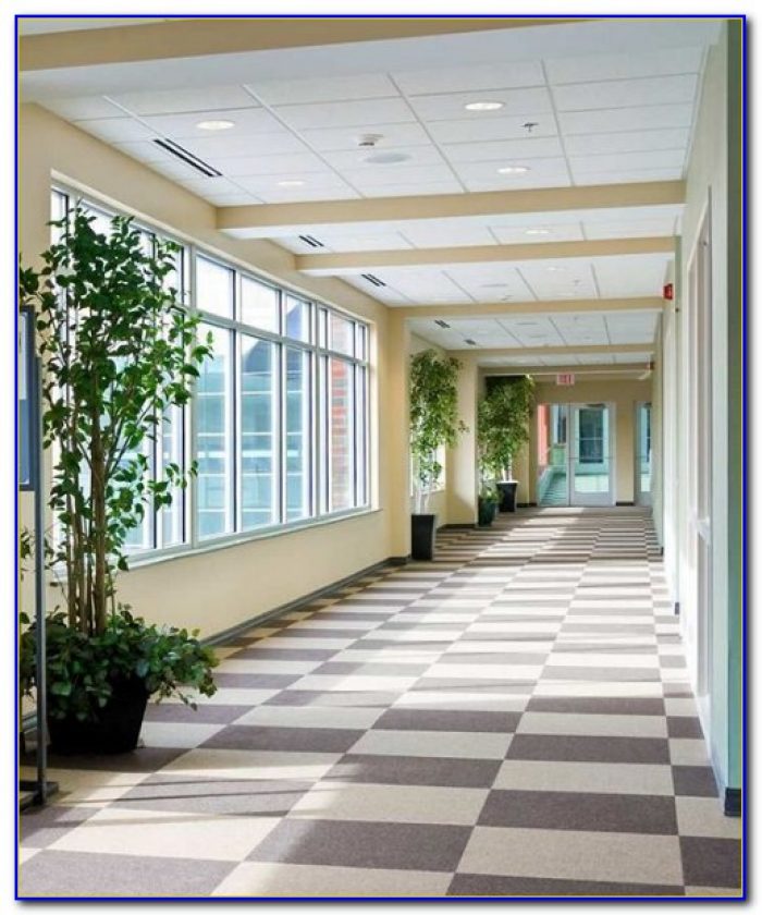 Restaurants Near Hilton Garden Inn Dulles North Restaurants Near Hilton Garden Inn Dulles North