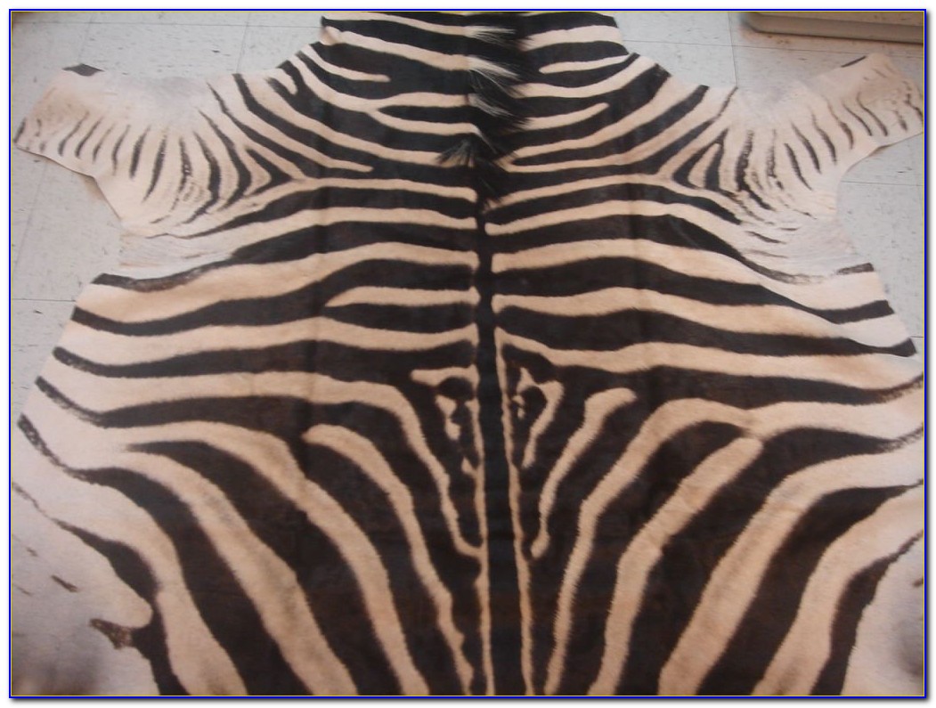 Zebra Hide Rug Ikea Rugs Home Design Ideas R6DVbGNDmz56442