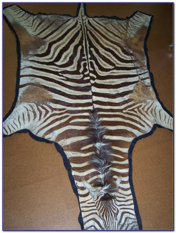 Zebra Skin Rug Ikea Rugs Home Design Ideas XxPyLeBQby56249
