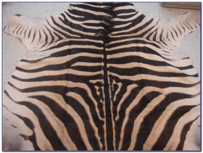 Zebra Skin Rug South Africa Zebra Skin Rug South Africa
