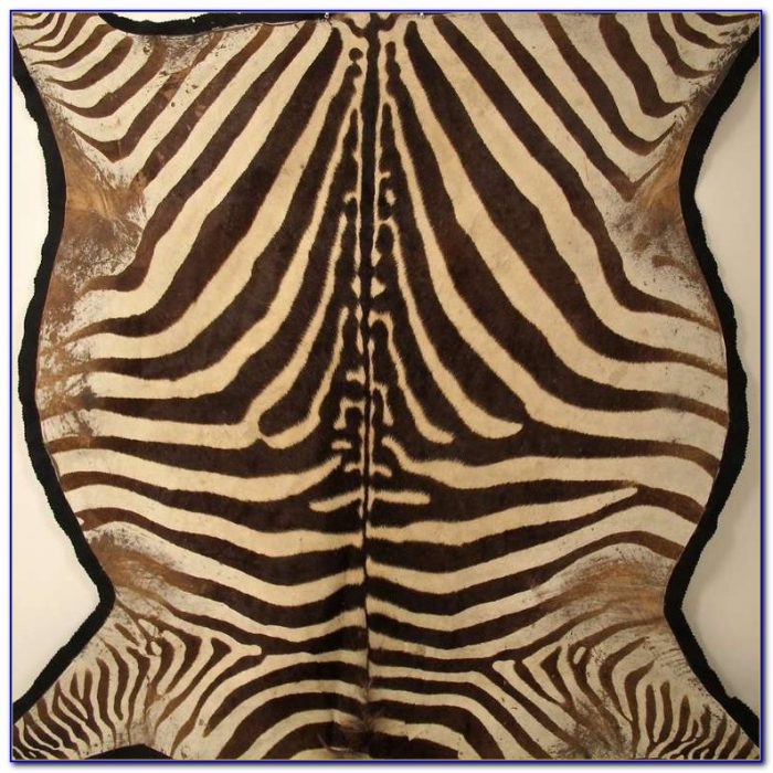 Zebra Skin Rug Ikea Rugs Home Design Ideas XxPyLeBQby56249