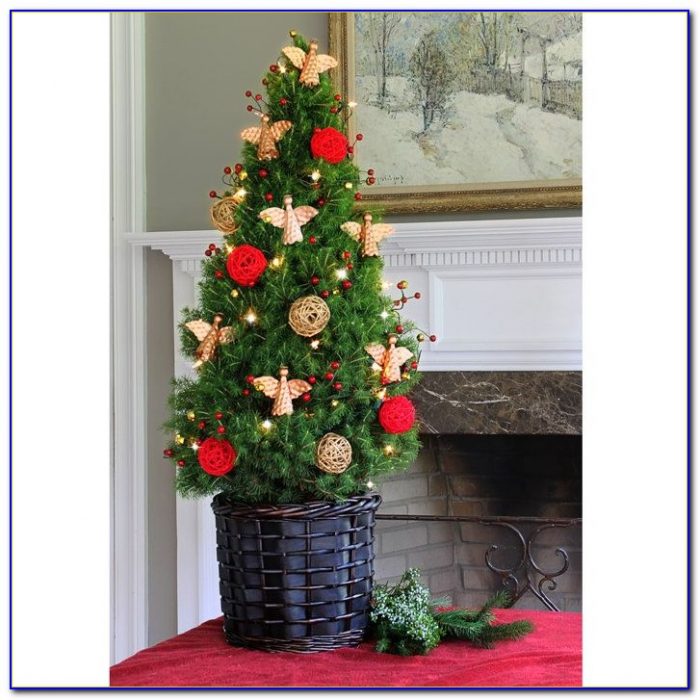 live tabletop xmas trees tabletop home design ideas live tabletop xmas trees tabletop home design ideas