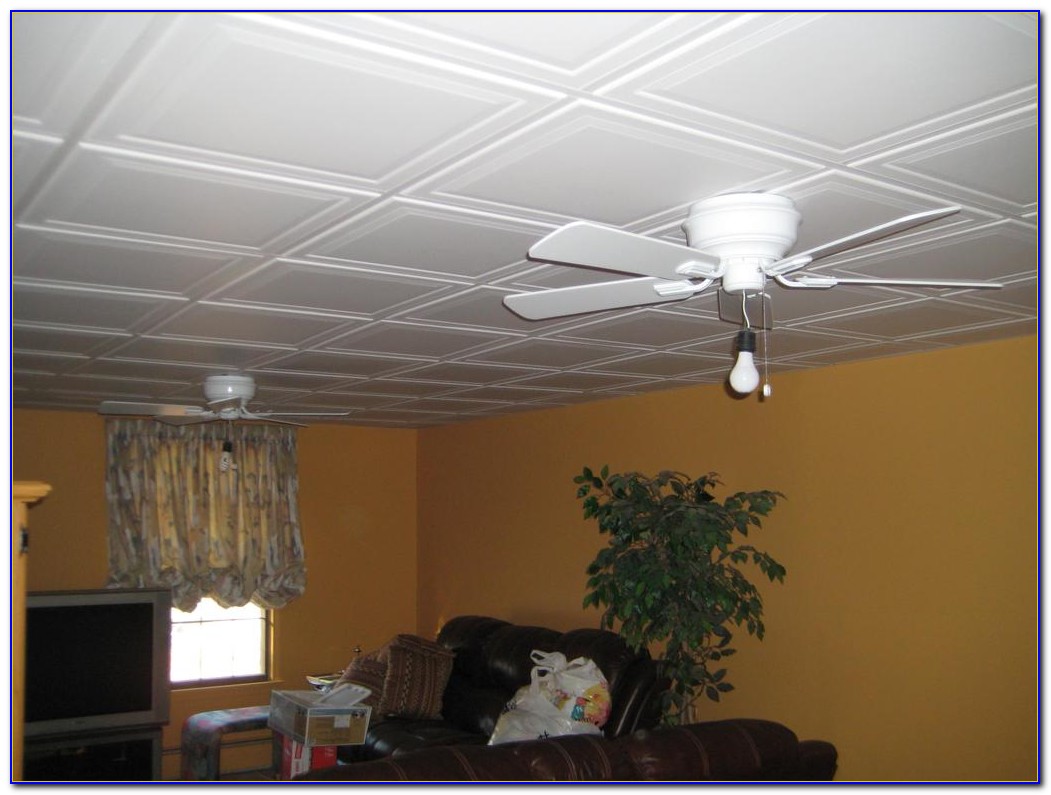 Armstrong 2×2 Drop Ceiling Tiles - Tiles : Home Design ...