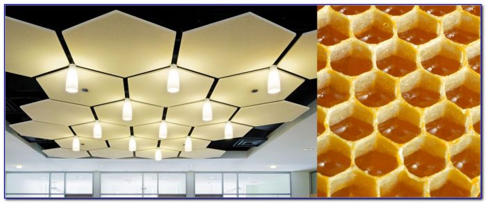 Armstrong Acoustical Ceiling Tile Installation Armstrong Acoustical Ceiling Tile Installation