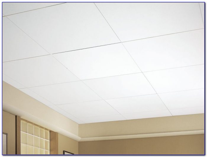 Armstrong Bioguard Acoustic Ceiling Tiles Armstrong Bioguard Acoustic Ceiling Tiles