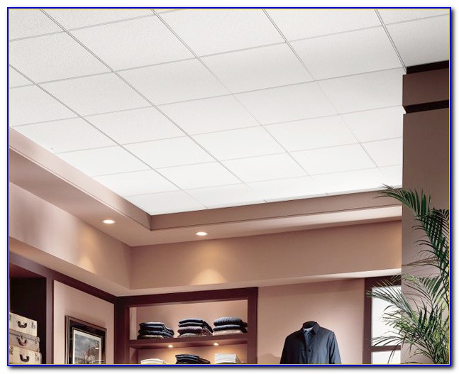 Armstrong Commercial Ceiling Tiles 2×4 - Tiles : Home Design Ideas #