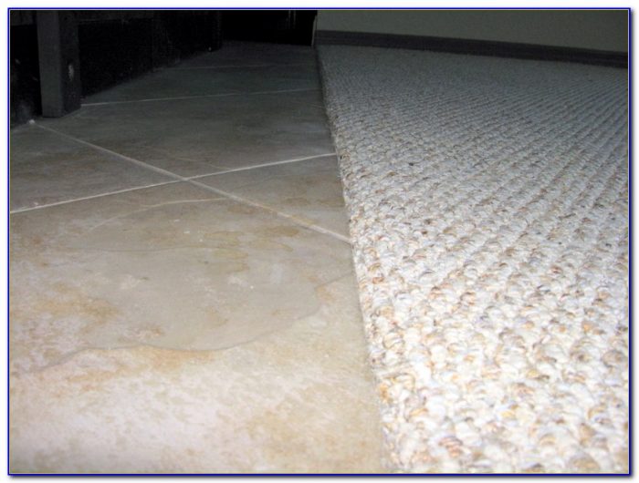 Carpet To Tile Transition Molding Carpet To Tile Transition Molding