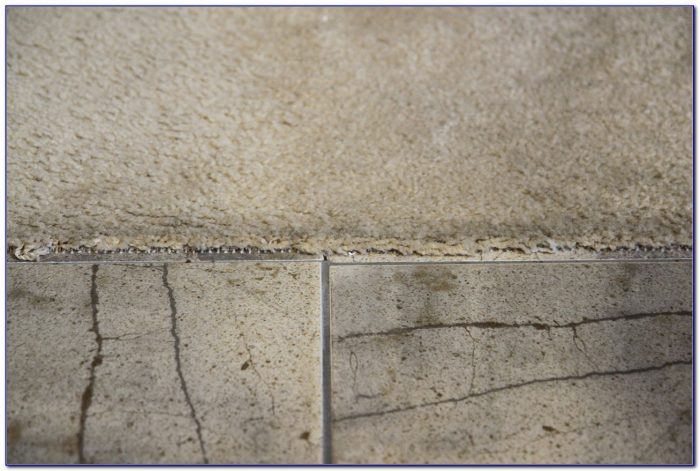 Carpet To Tile Transition No Strip Carpet To Tile Transition No Strip
