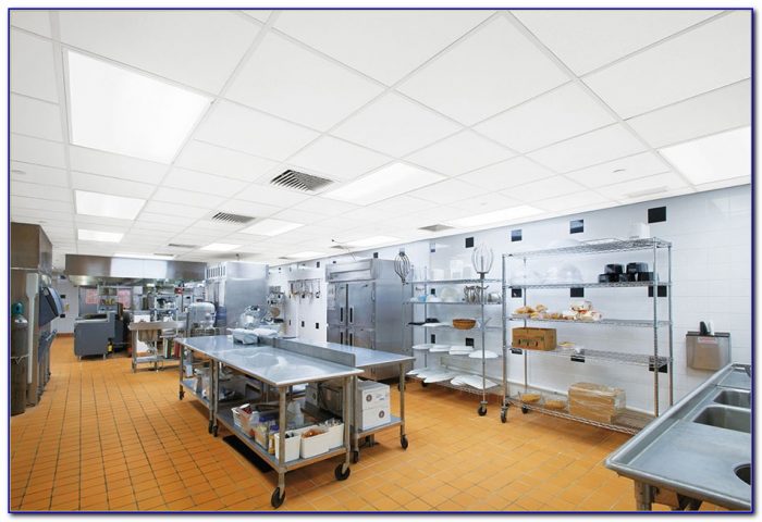 Commercial Kitchen Ceiling Tiles 2x4 Commercial Kitchen Ceiling Tiles 2x4