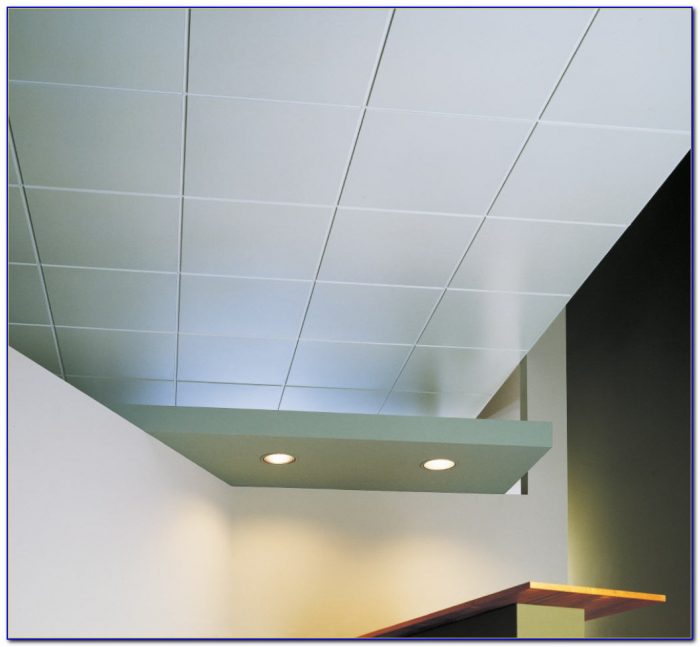 Armstrong Commercial Washable Ceiling Tiles - Tiles : Home ...