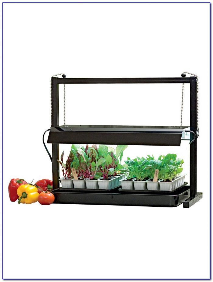 plant grow light table