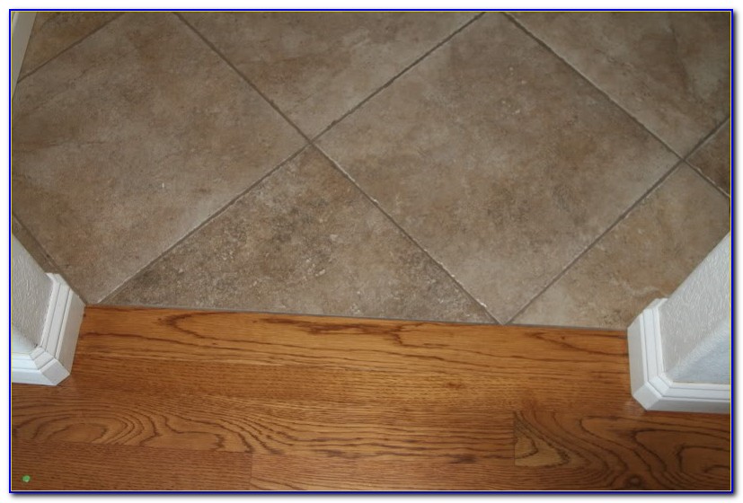 Tile To Carpet Transition Menards Tiles Home Design Ideas 