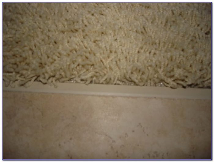 Tile To Carpet Transition On Concrete Tile To Carpet Transition On Concrete