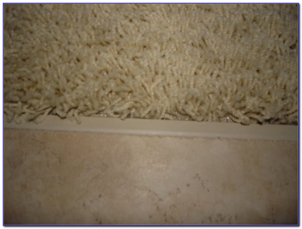 Tile To Carpet Transition On Concrete Tiles Home Design Ideas 