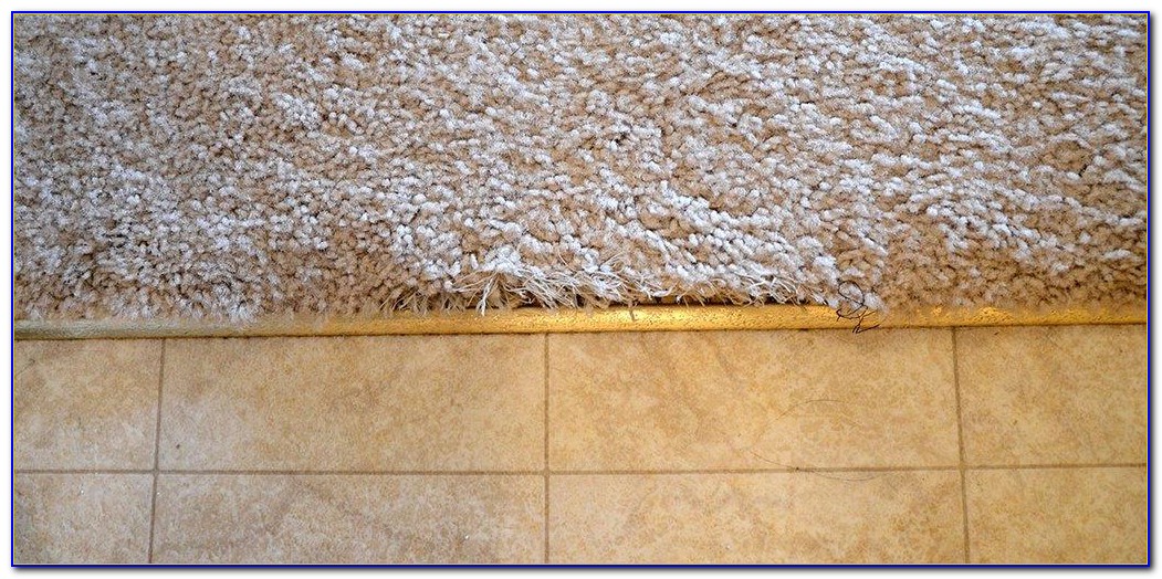 Tile To Carpet Transition Piece Tiles Home Design Ideas 6zDAGXbPbx67851