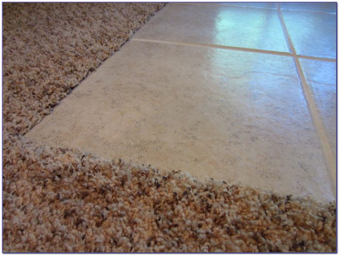 Carpet Transition To Tile Carpet Transition To Tile