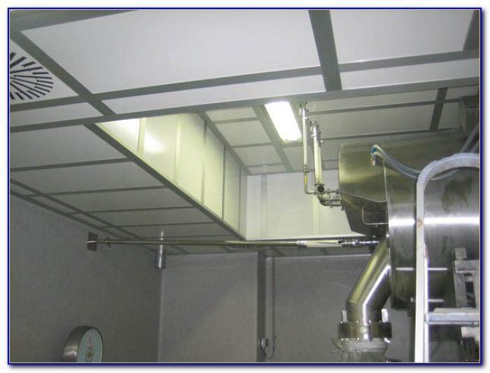 Clean Room Mylar Ceiling Tiles - Tiles : Home Design Ideas ...