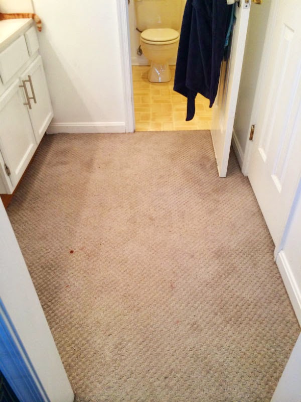Best Vinyl Plank Flooring For Kitchen And Dogs Best Vinyl Plank Flooring For Kitchen And Dogs
