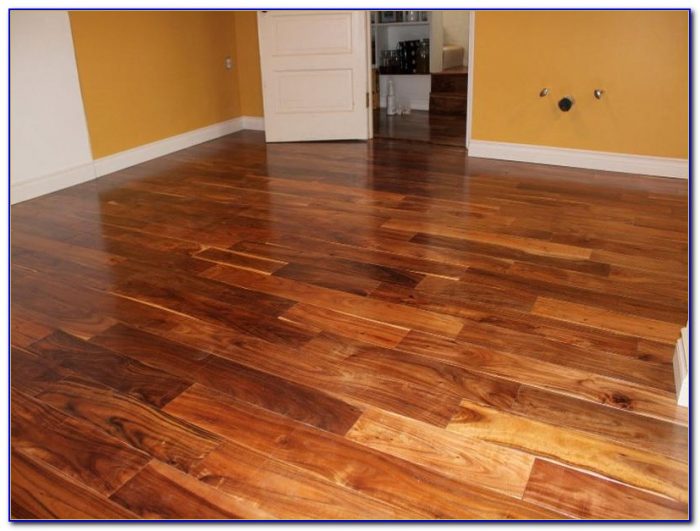 Best Type Of Flooring For Big Dogs Best Type Of Flooring For Big Dogs