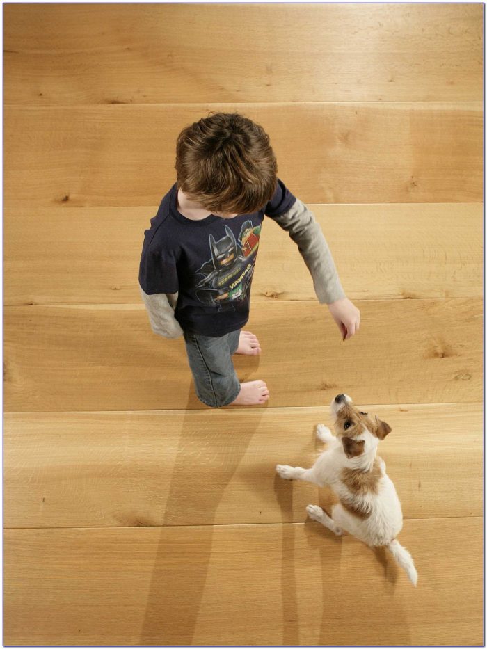 Hd Wallpapers Scratches In Hardwood Floors From Dogs Wallpaper