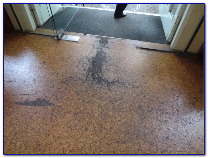 cork flooring for bathrooms pros and cons flooring home design ideas ymnga8ngqr95812 cork flooring for bathrooms pros and cons flooring home design ideas ymnga8ngqr95812