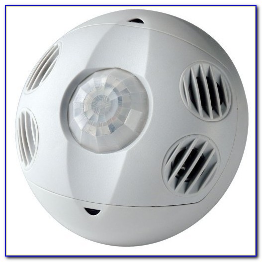 Ceiling Mount Occupancy Sensor Light Switch Ceiling Mount Occupancy Sensor Light Switch