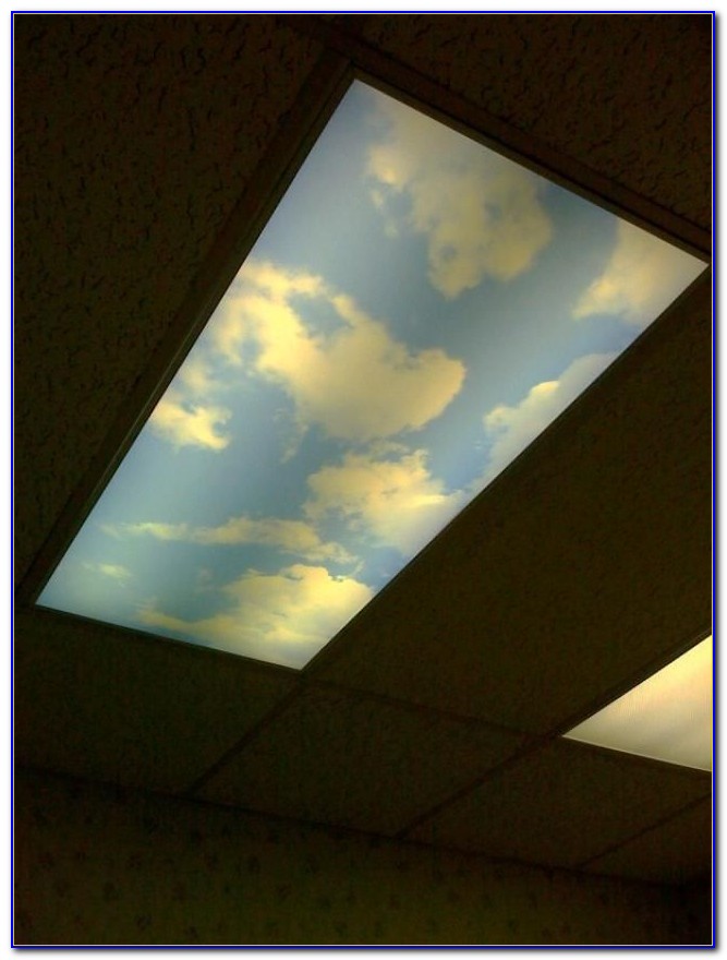 Decorative Fluorescent Ceiling Light Covers Decorative Fluorescent Ceiling Light Covers