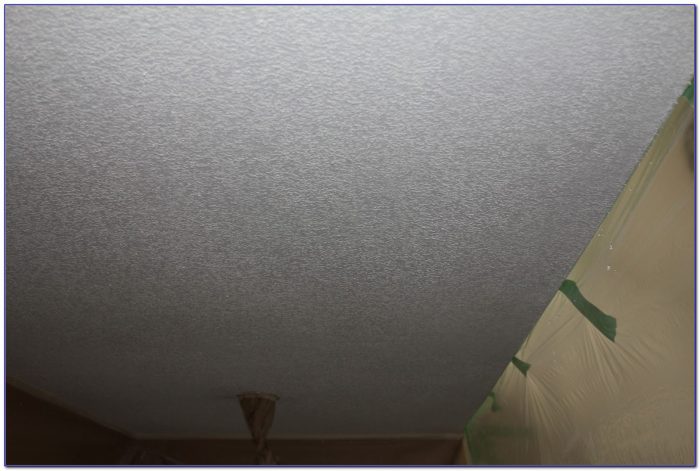 Dry Scrape Popcorn Ceiling And Paint Dry Scrape Popcorn Ceiling And Paint