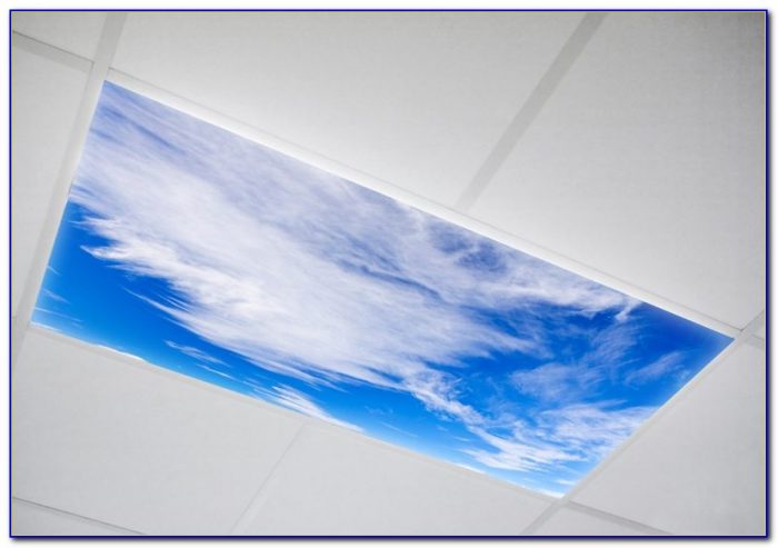 Fluorescent Ceiling Light Covers Fluorescent Ceiling Light Covers
