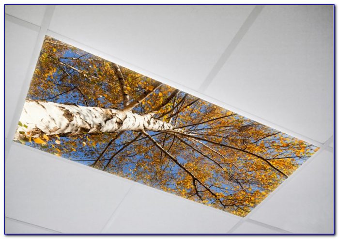 Fluorescent Drop Ceiling Light Covers Fluorescent Drop Ceiling Light Covers