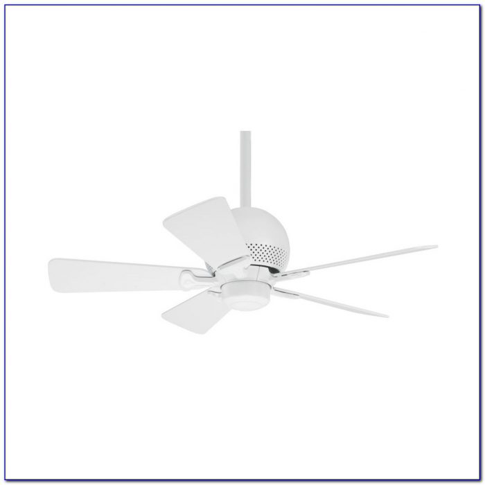 Hunter White Ceiling Fan 52 Hunter White Ceiling Fan 52
