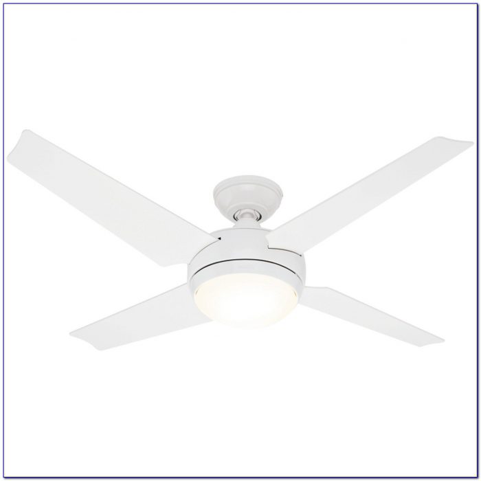Hunter White Ceiling Fan Blades Hunter White Ceiling Fan Blades