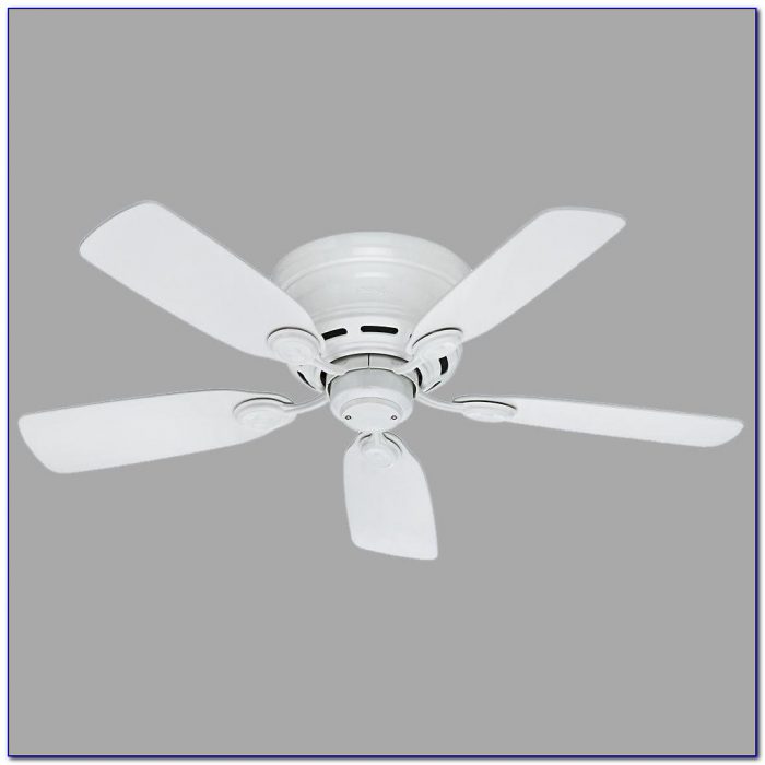 Hunter White Ceiling Fan Light Kit Hunter White Ceiling Fan Light Kit