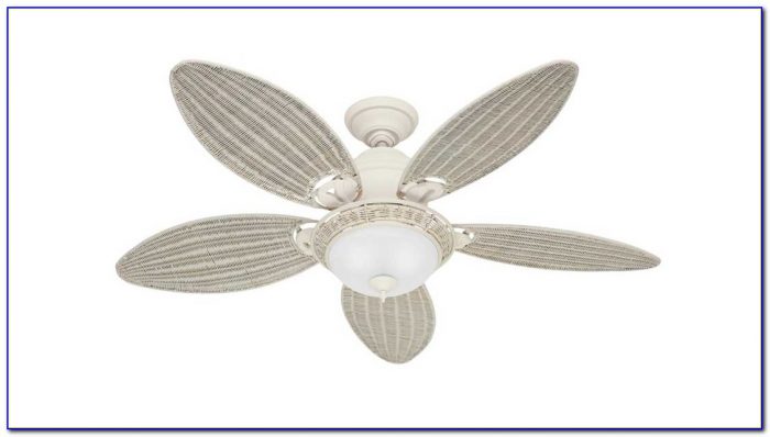 Hunter White Ceiling Fans Hunter White Ceiling Fans