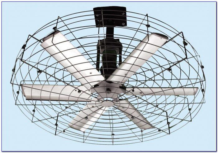 Industrial Cage Ceiling Fan Industrial Cage Ceiling Fan