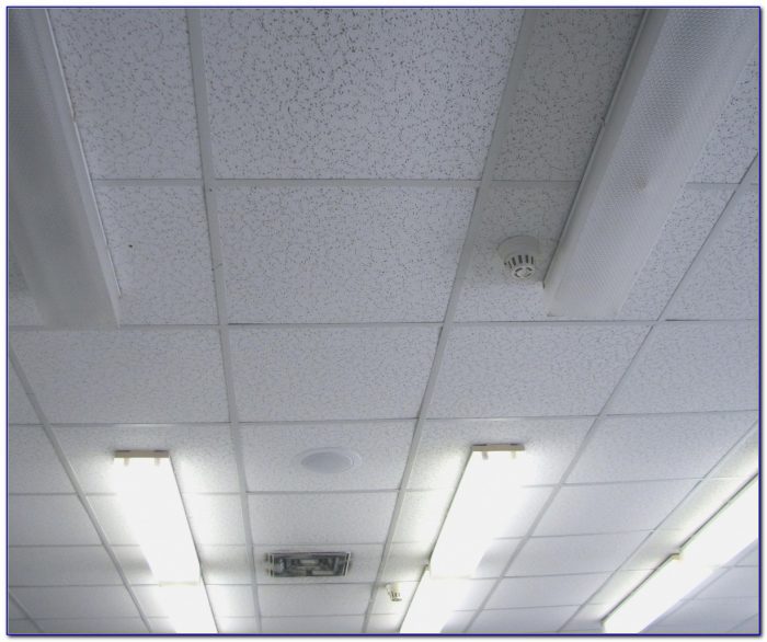 24 X 48 Acoustic Ceiling Tiles 24 X 48 Acoustic Ceiling Tiles