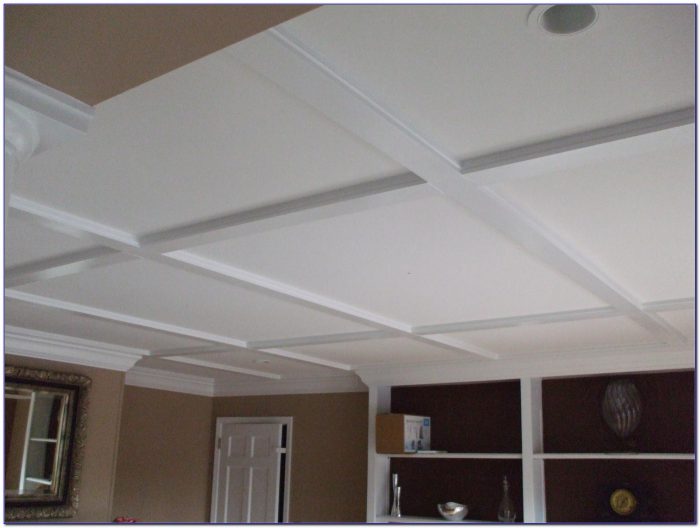 Basement Drop Ceiling Lighting Ideas Basement Drop Ceiling Lighting Ideas