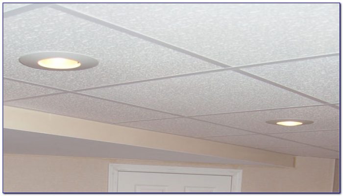 Basement Drop Ceiling Lighting Options Basement Drop Ceiling Lighting Options